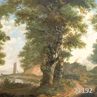 Забытые тропы