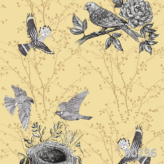 Птичьи гнезда