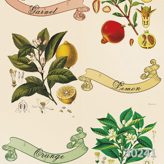 Цветы и фрукты