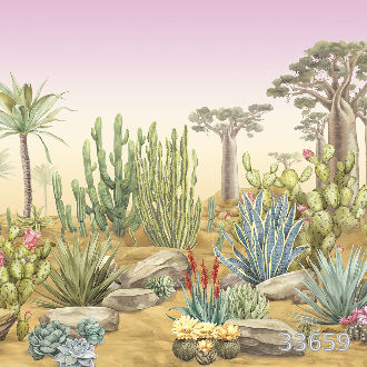 Desert flora sunset
