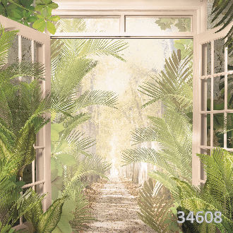 Дорога в тропики